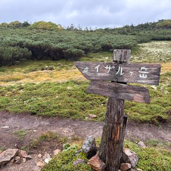 雲で展望ないのでイザルヶ岳はスルー。