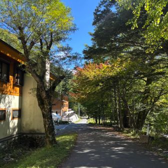 下界も紅葉🍁してます。山梨県。