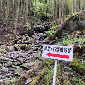 こっちか