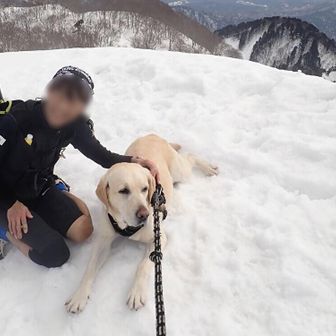 いつもガウガウやり合うララちゃん🐶ママがララちゃん無しで登場🙌
何度も会ってるけどララvsハクなんでまともに喋るの初めてかも🤔

ララちゃんママ：世界大会にも出場するトレランの超有名選手らしい。知識ゼロのおちハクペアは有名人でもララちゃんママだ🐾