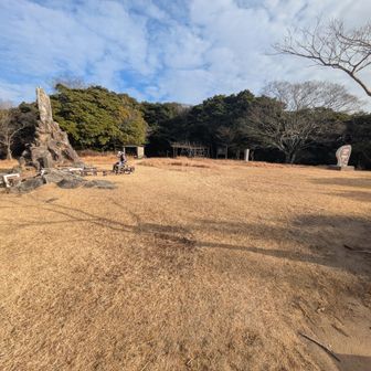 ポカポカで昼寝日和！
