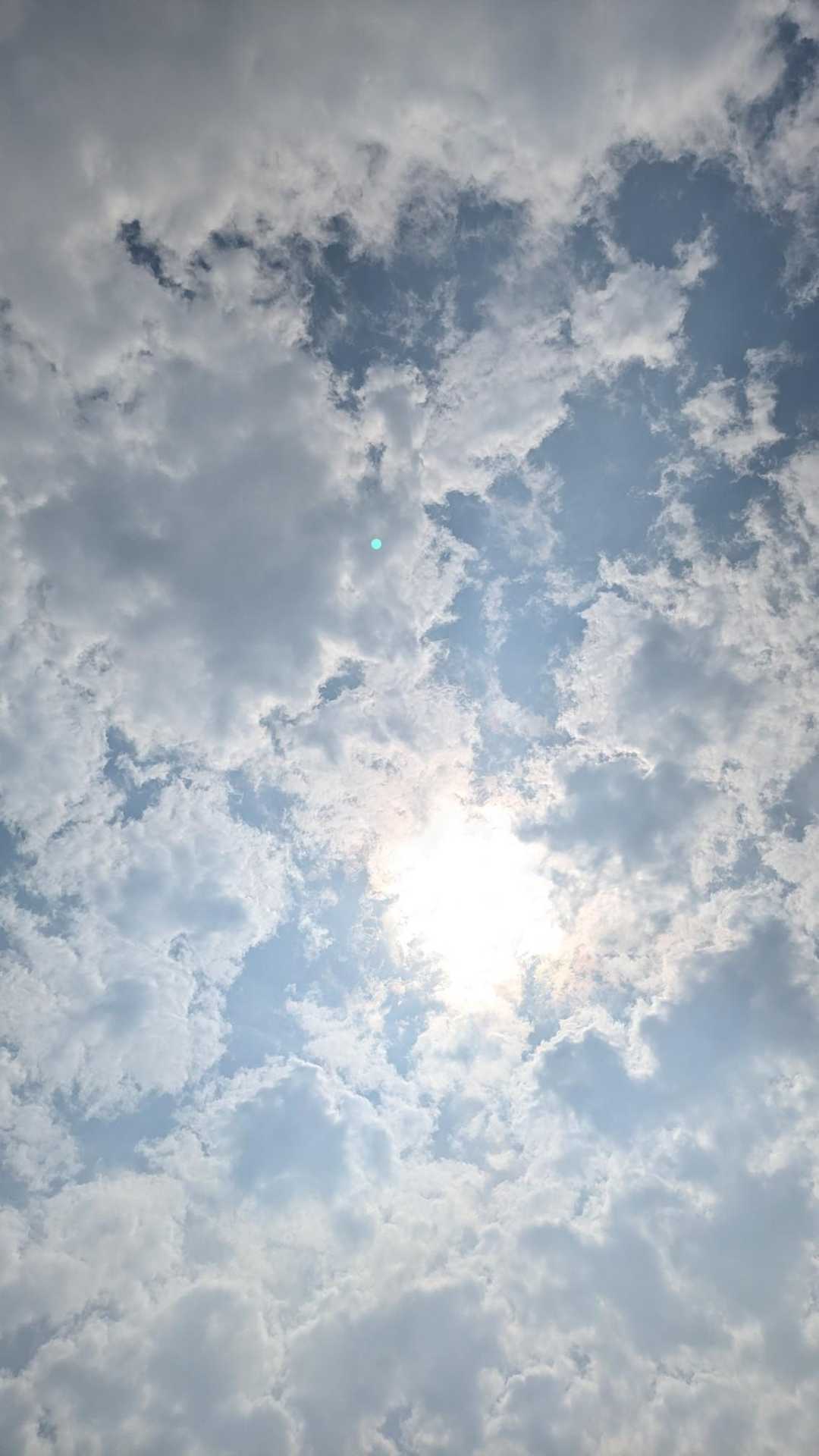見上げる空が心地よくて、眠たくなりました