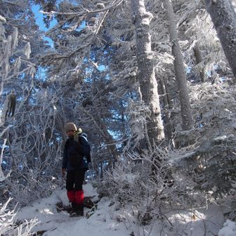 みとれるじゅんぽんさん