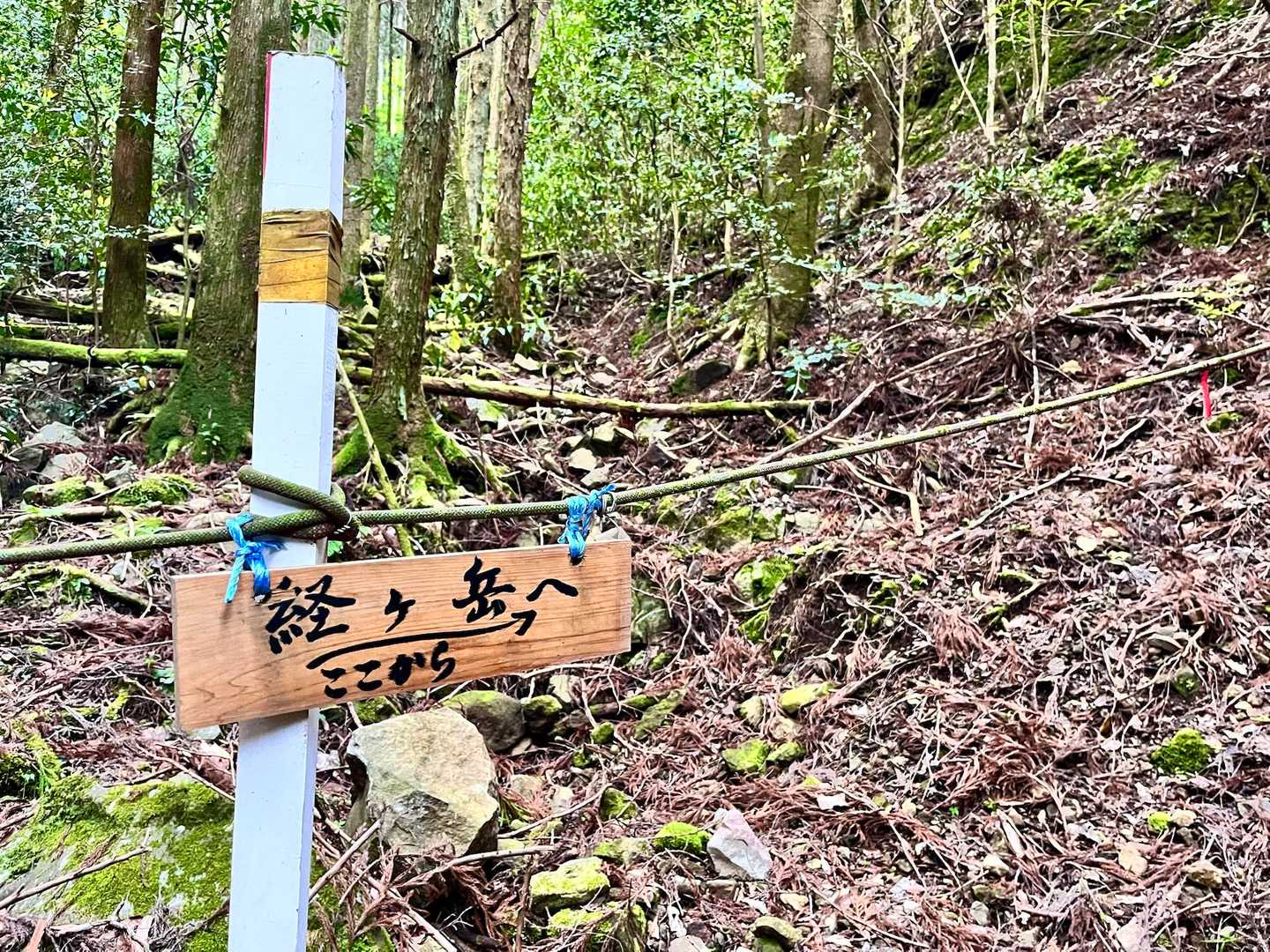 平谷登山口-経ヶ岳-タワラギ山 往復コースの写真