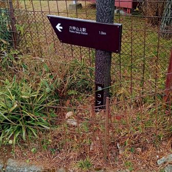 日和ります　ケーブルで