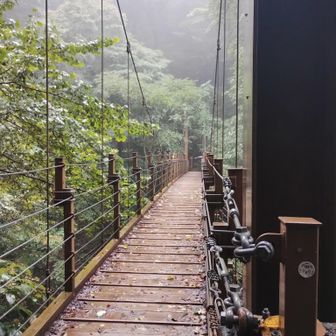 吊り橋✨️
双方向から人がきますが
撮影することを考慮してか、なんとなくかぶらないように待ち、ひとりずつ渡ってました😆

私は人に待ってもらっていることが苦手なので、ささっと渡ってしまいました。ちょっと心残り😌