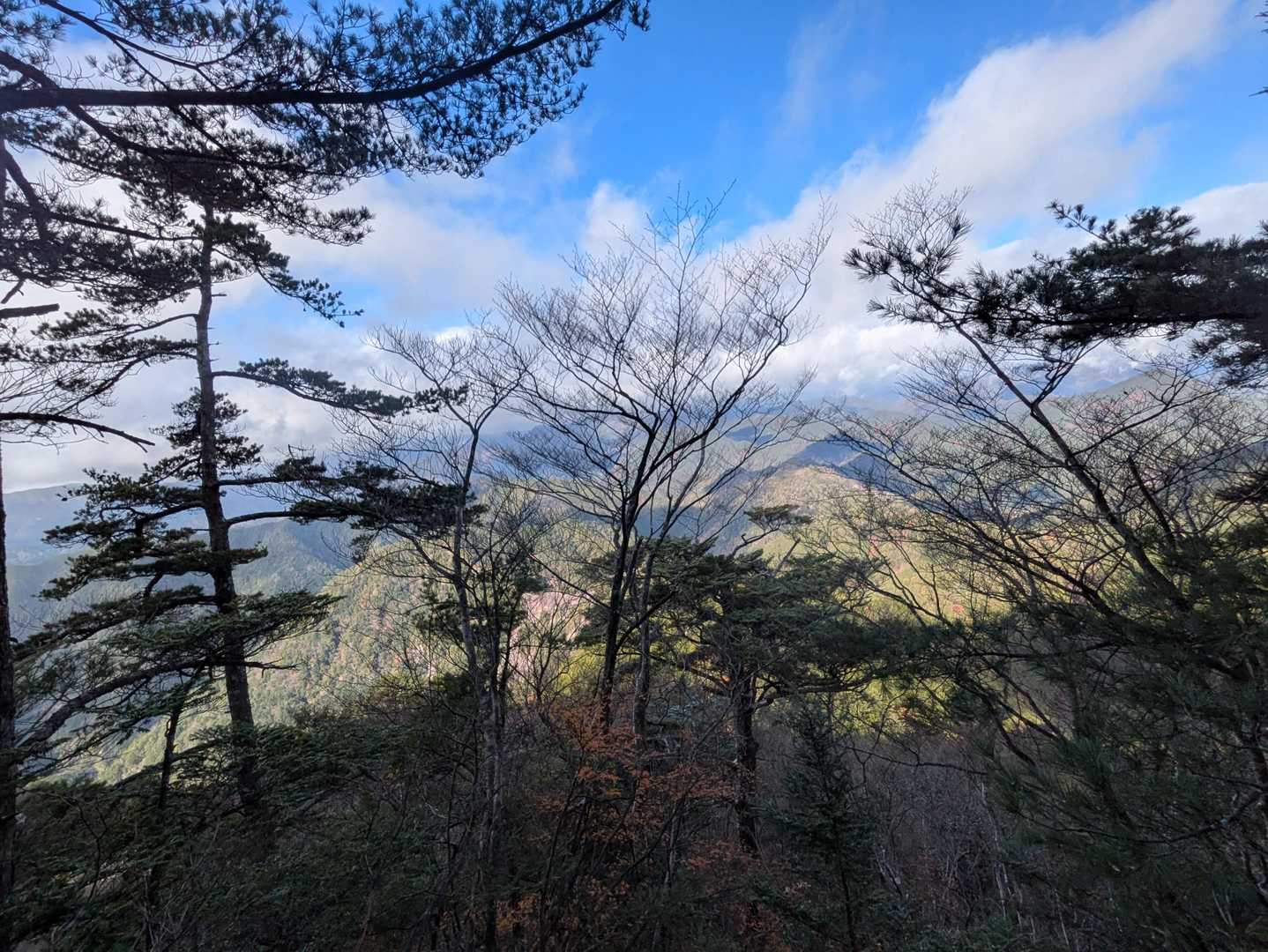 明神山 周回コースの写真