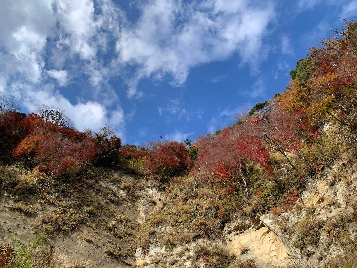 雲出てキタ