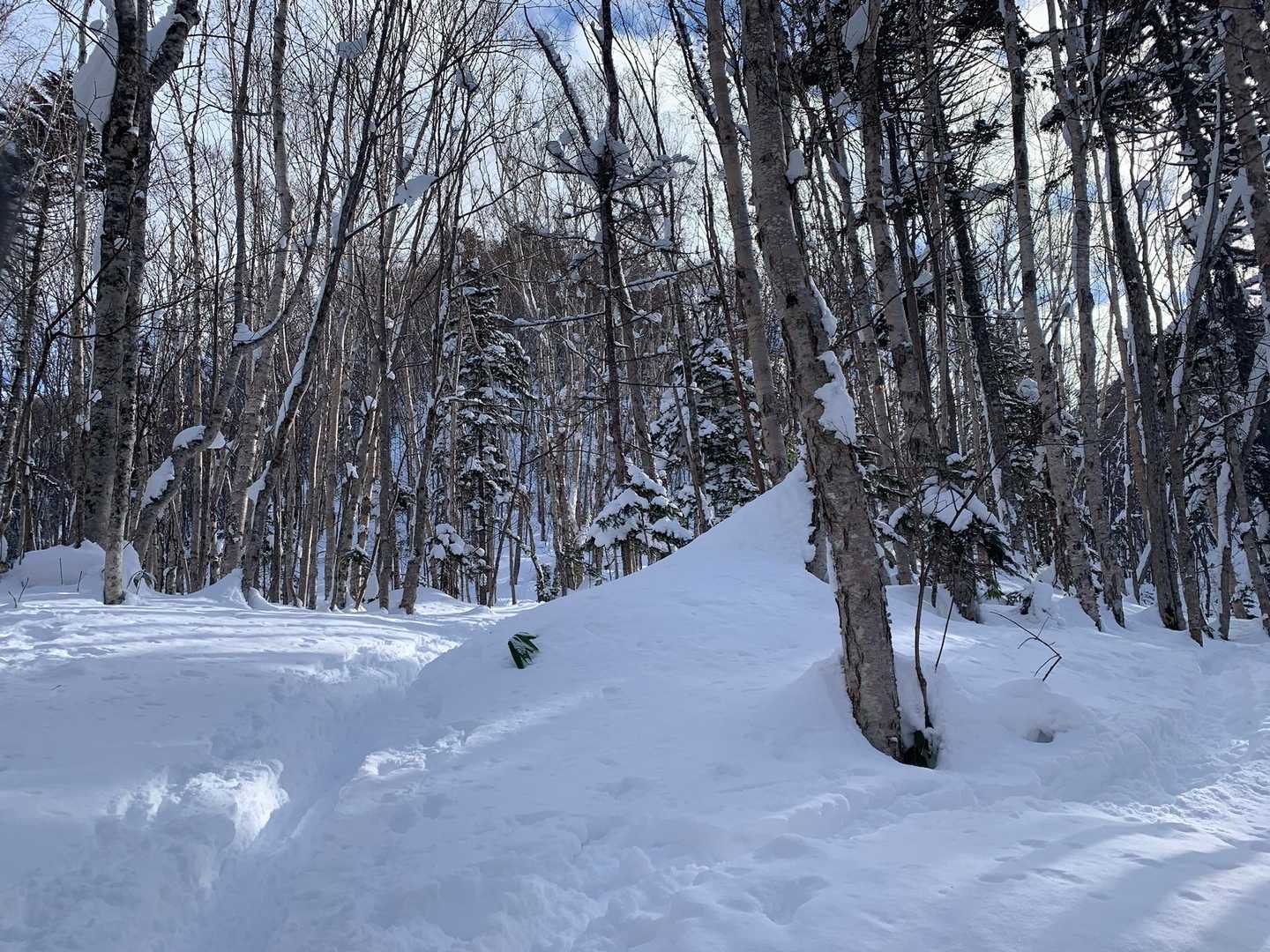 50m程歩くと左側に尾根がせり出し冷水沢の谷筋が一気に険しさを増しました。そして薄っすらとしたトレースは二股に分かれていました。雪崩のリスクを避けるためにまた険しい谷筋を避けるために、尾根西側をトラバース(冷水沢右岸)する左側のトレースに沿って進みました。20m程歩き傾斜がきつくなる手前、右に視線をやるとピンテが。そこでピンテを頼りに谷筋に降りずにその少し上部をトラバースすることに。