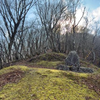 この先からやっと登山道を歩きます͗ ͗〰︎︎♡