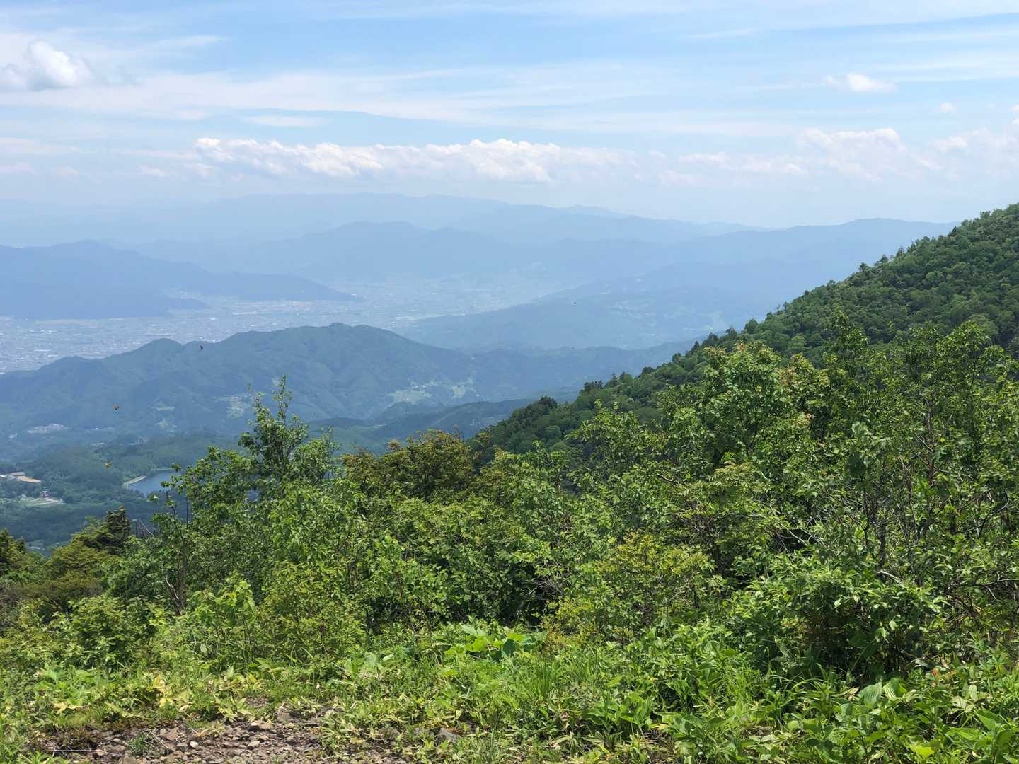 霊仙寺山 往復コースの写真