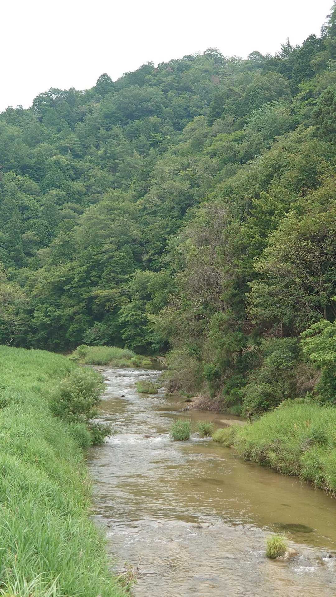 ふじの回廊口 バス停-城ヶ根山展望台登り口-城ヶ根山-天徳 往復コースの写真