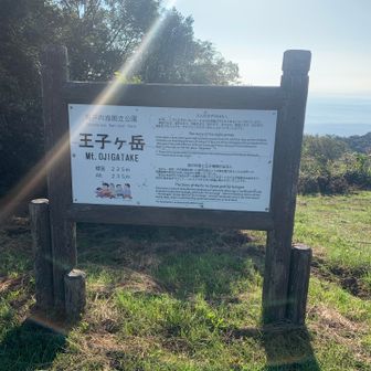 王子が岳山頂