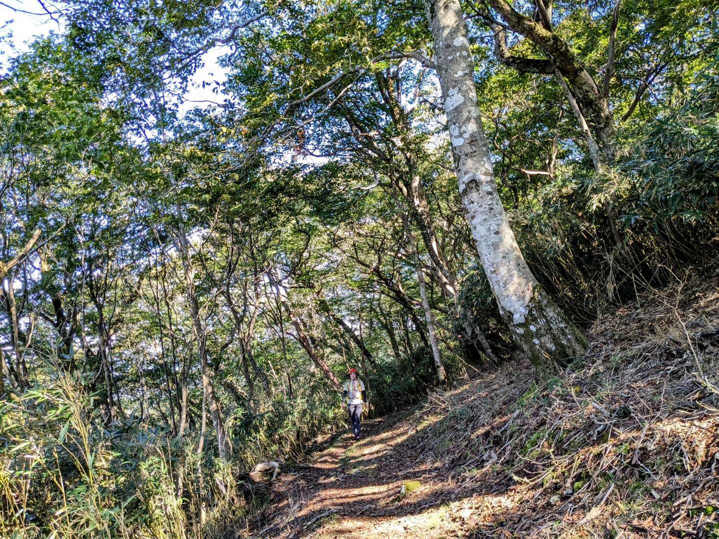 大空山-富栄山 往復コースの写真