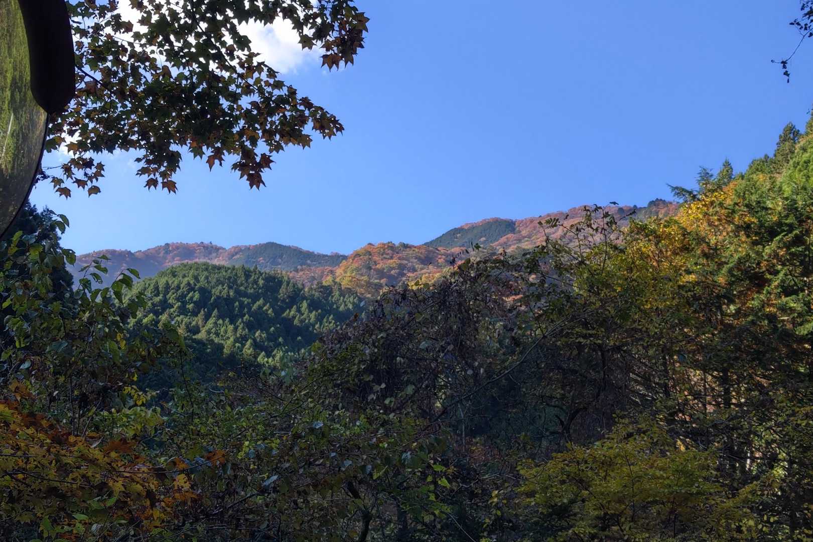 舗装路をテクテク
途中で見えた景色が綺麗🍁