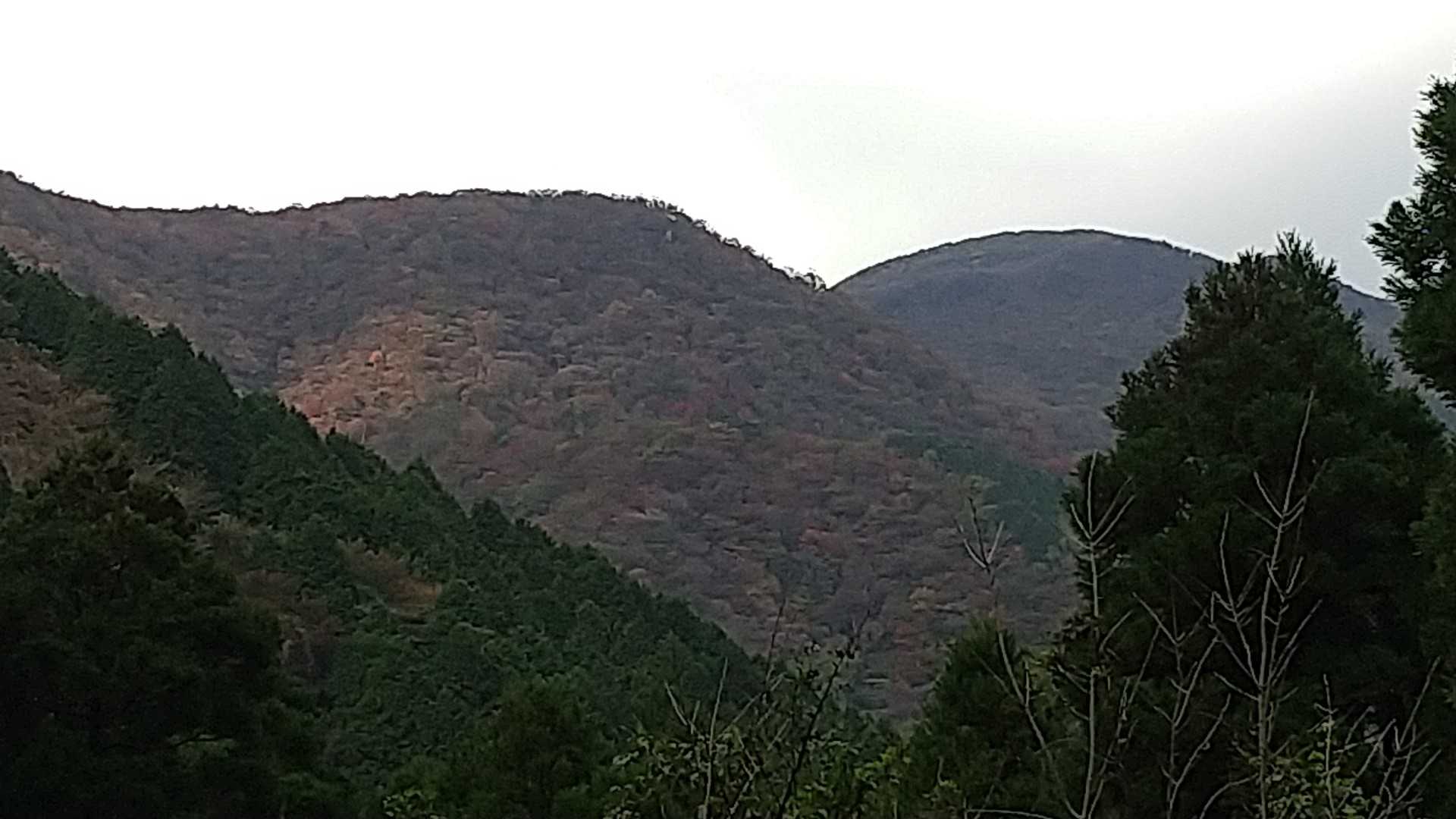 内山さんの肌はいい感じ。