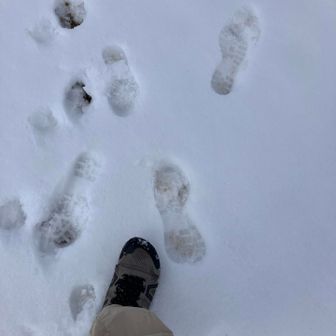 靴ミスったな...