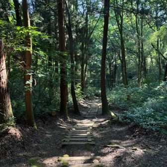 法尻山を降りる