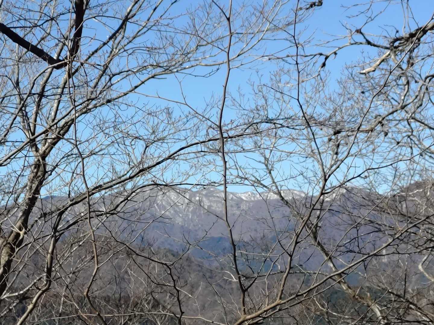 丹沢山ですね～