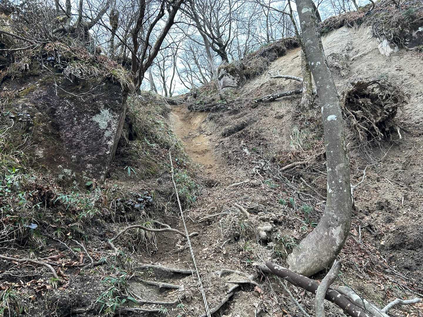 稜線まで最後の急登