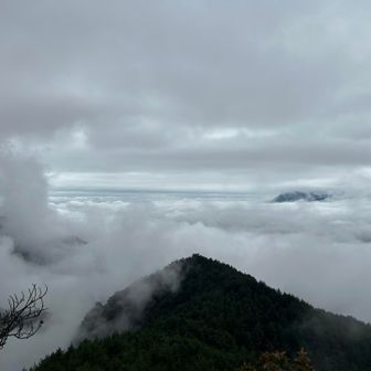 見晴❓雲海でした🫡