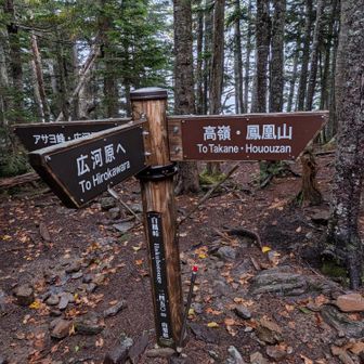 鳳凰峠
去年はここから広河原へ下った