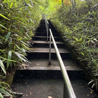 最初の階段は中々しんどかったです💦