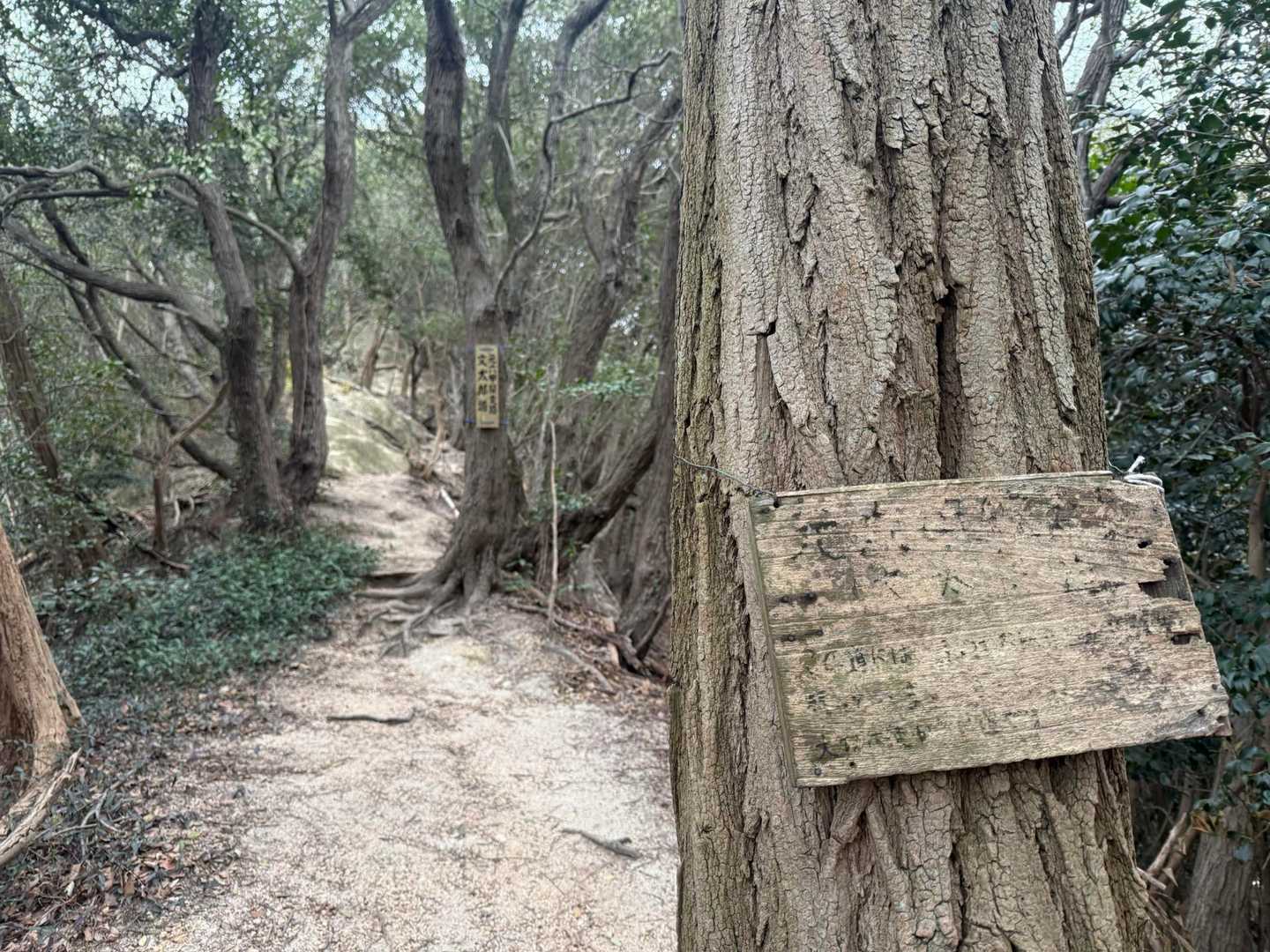 文太郎道の看板が新しくなってますね☺️