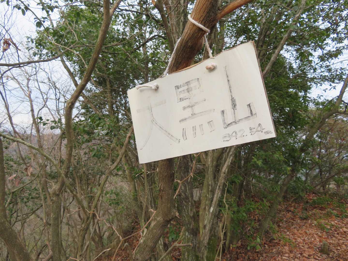 大黒山山頂⛰