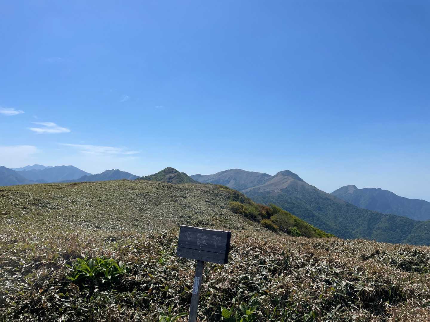 最高👍