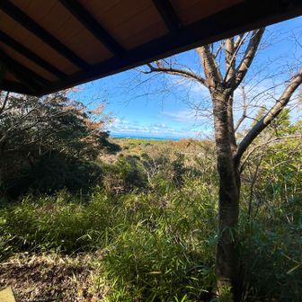 三重県側が見えて
良い景観！
東屋！