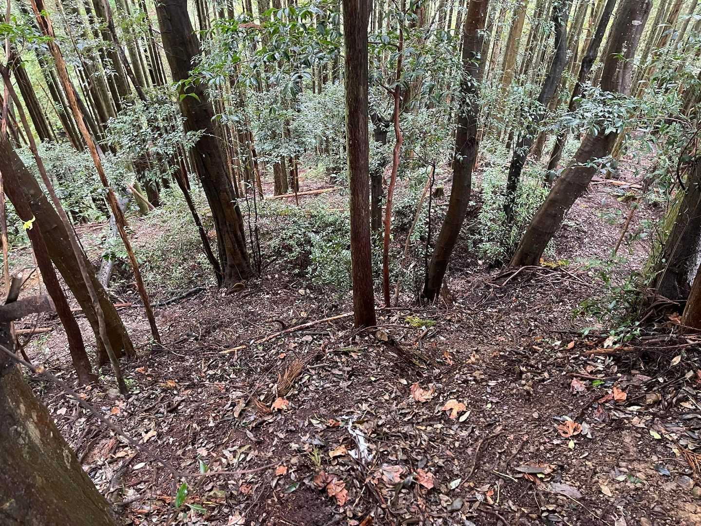 分かりにくいけど、ここ、滑るの危険⚠️