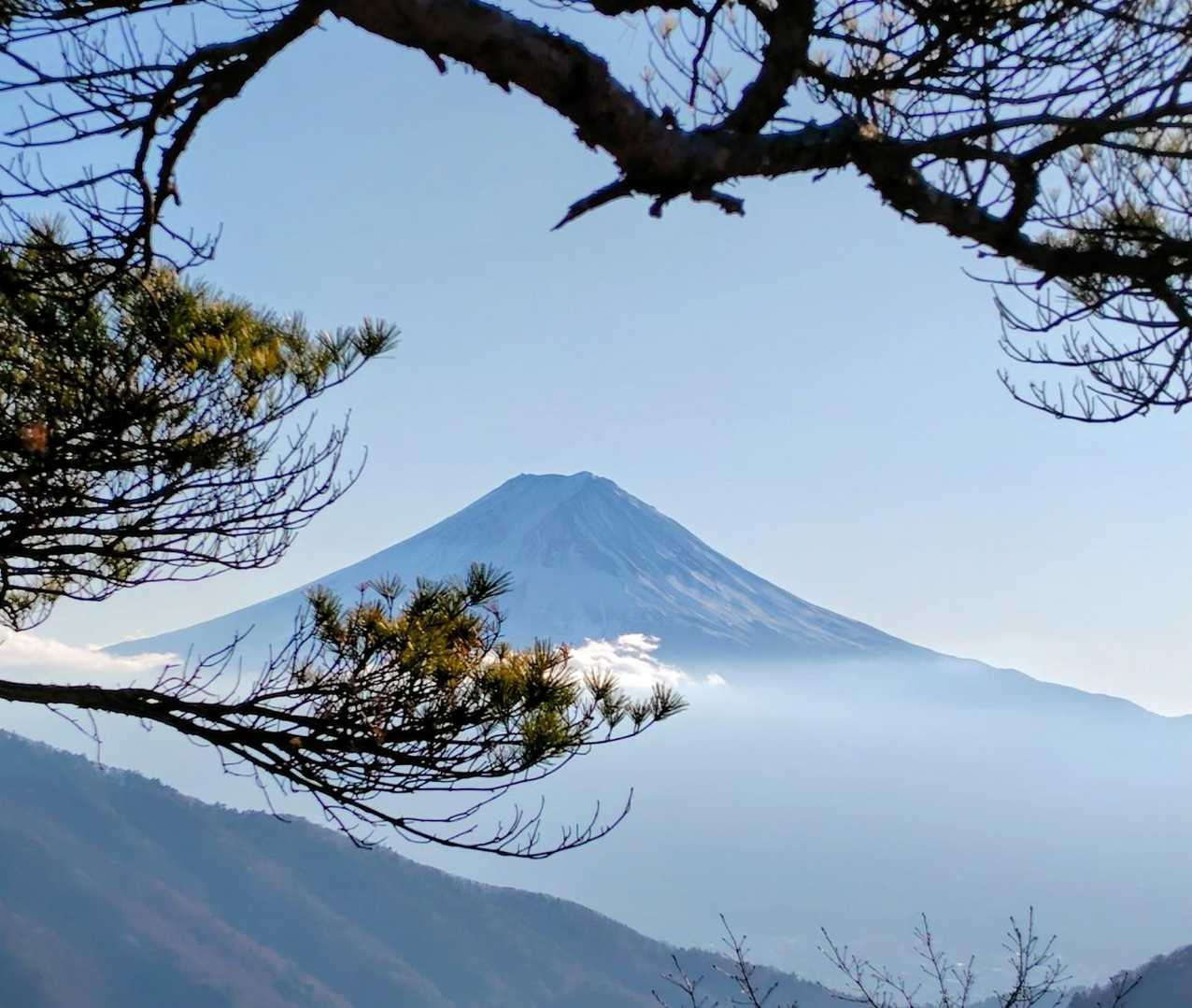 清八山に戻って
松と富士山