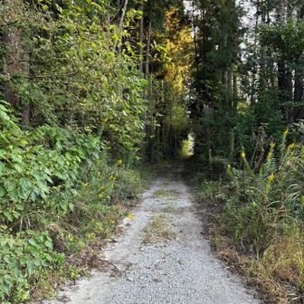 登山口はこの方角です。