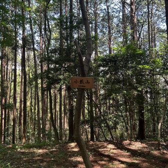 　　　　　　　　　山頂標識