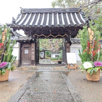 🎍賀正🎍。🎍門松🎍