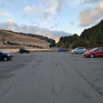 駐車場は余裕の数台