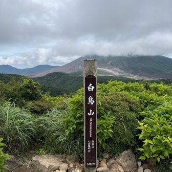 白鳥山山頂 着