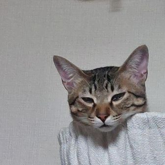☆さな