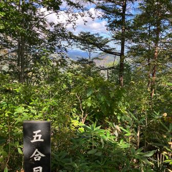 五号目