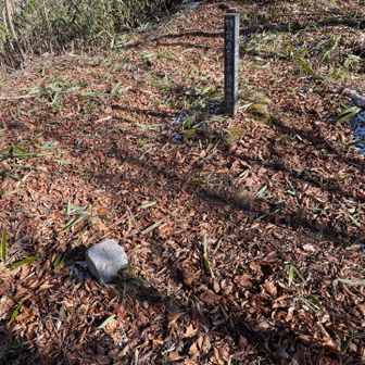 急登の間は写真も撮れず一気にピークへ
結構、ハードでした