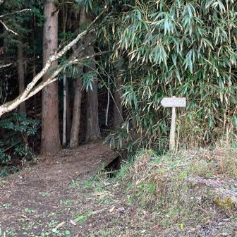 鬱蒼としてる登山口😓