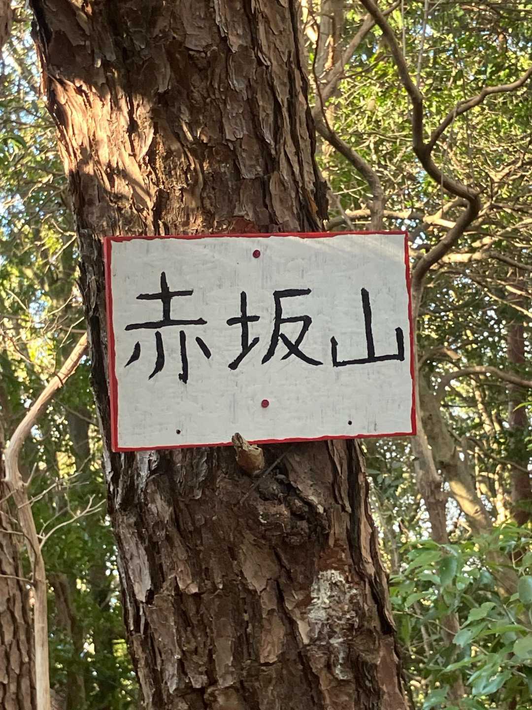 取り付きからは直ぐに
赤坂山の山頂に到着しました💪