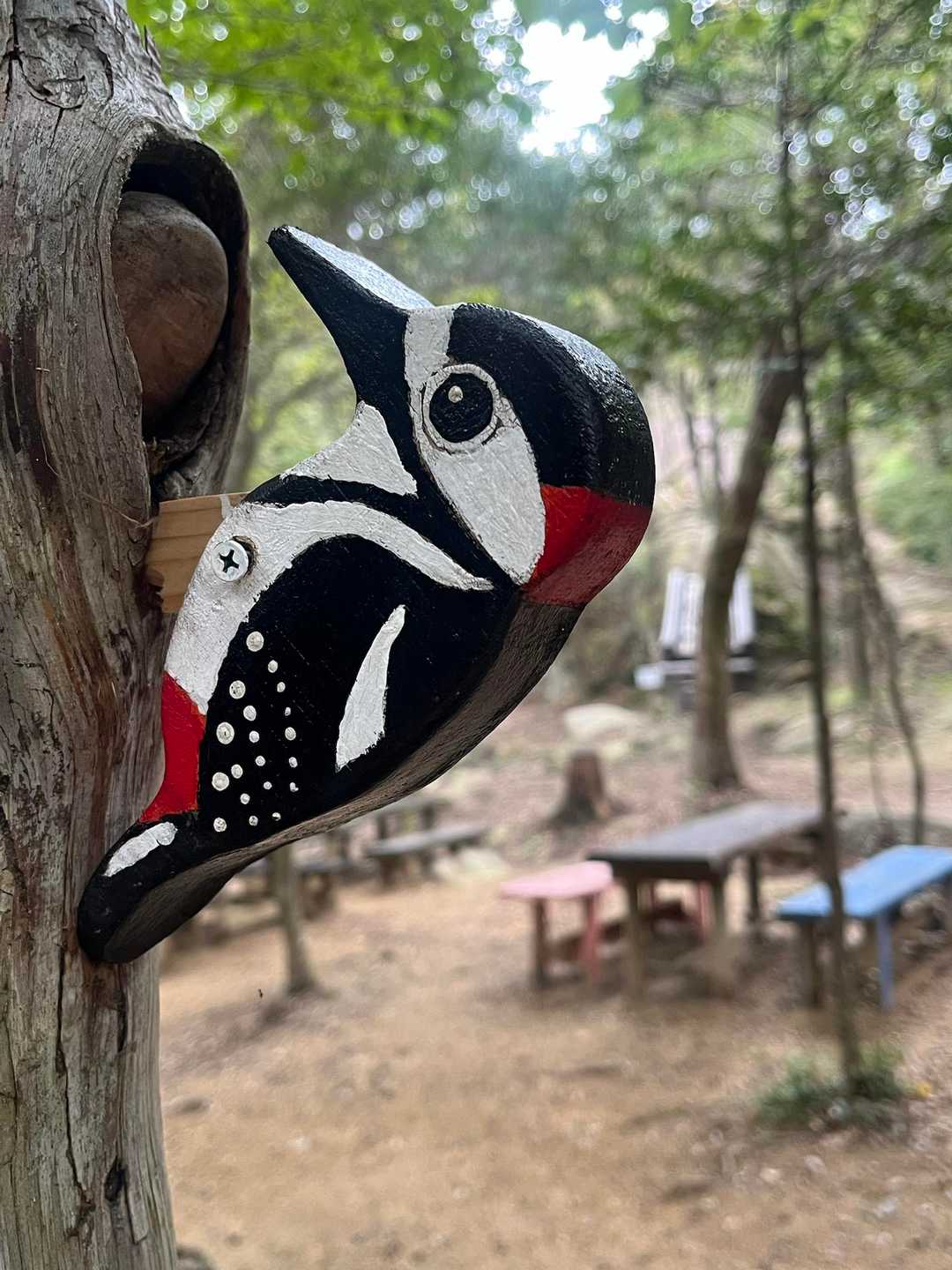 ステキな森のゆうえんち🌳