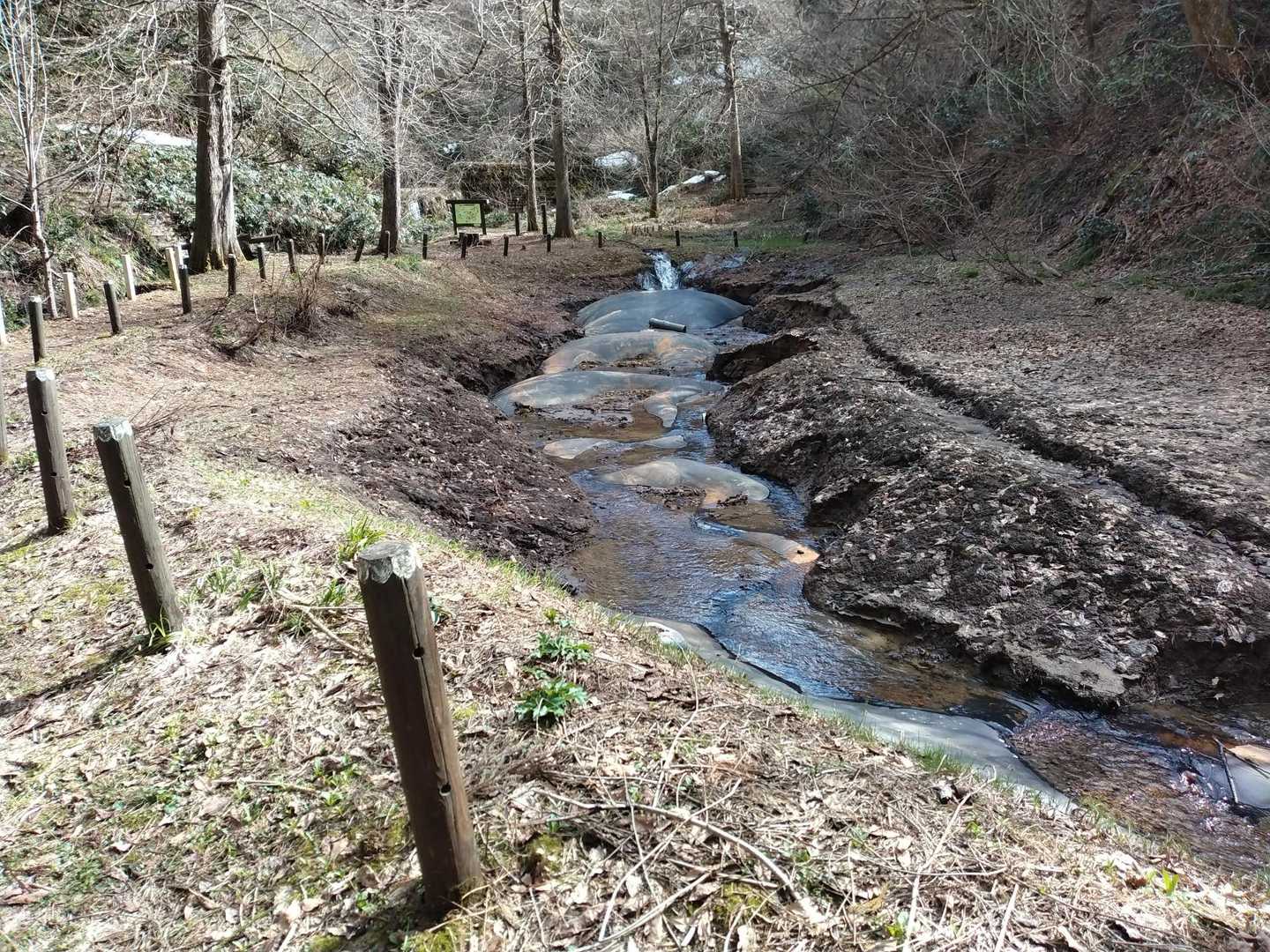 瞑想の森。ここは以前は池で、いろんな生き物が棲んでいた。子供と何回も来たものだが。浚渫されて流れだけになった。まだ整備中？？