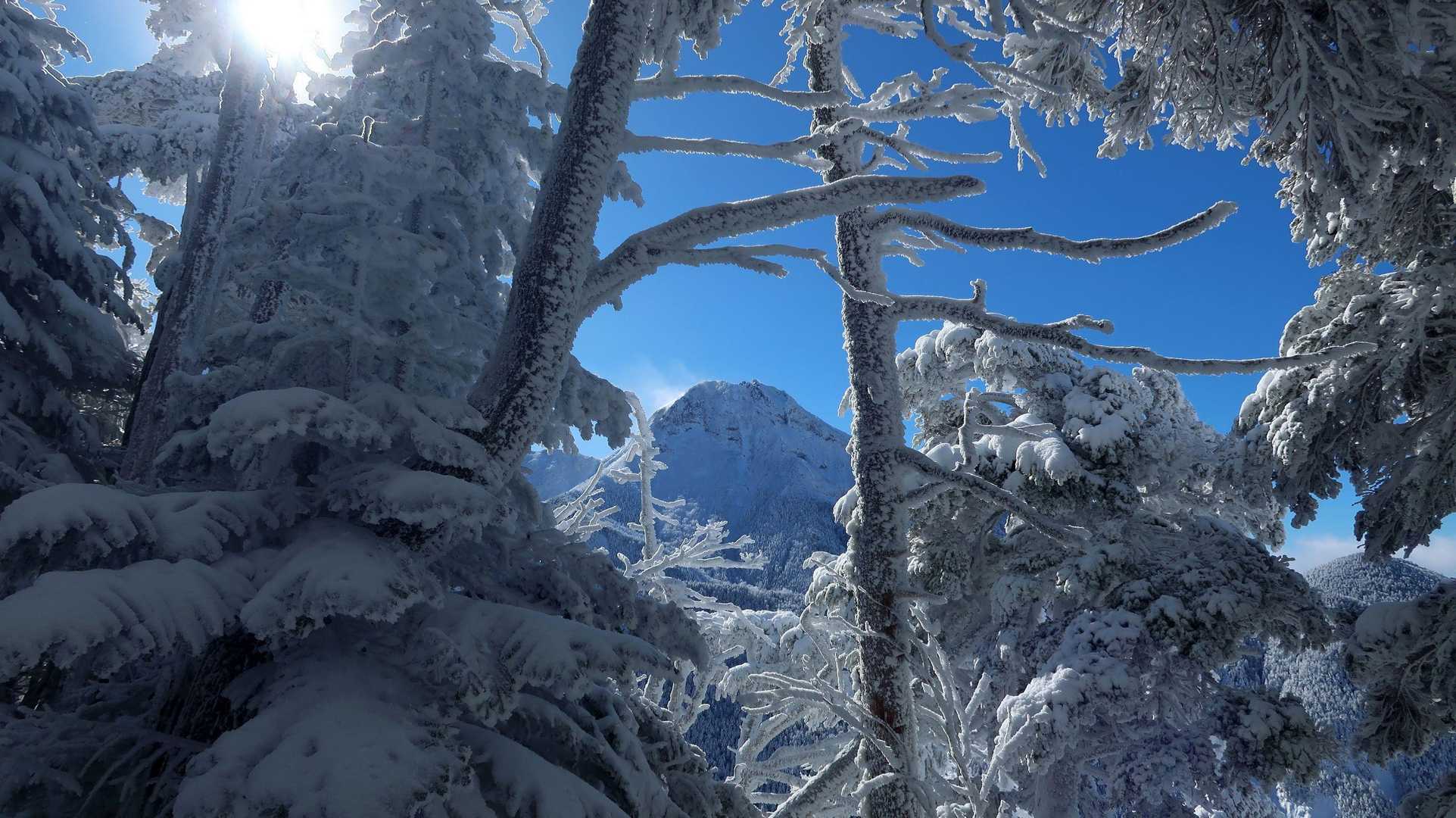 阿弥陀岳が