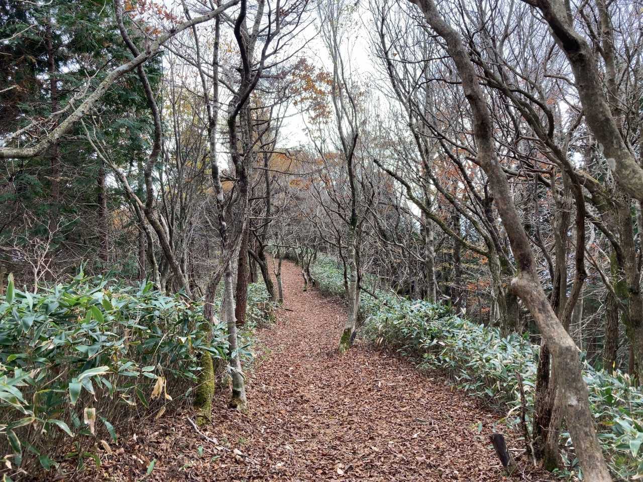 ここからは未踏。白賀渓谷へ