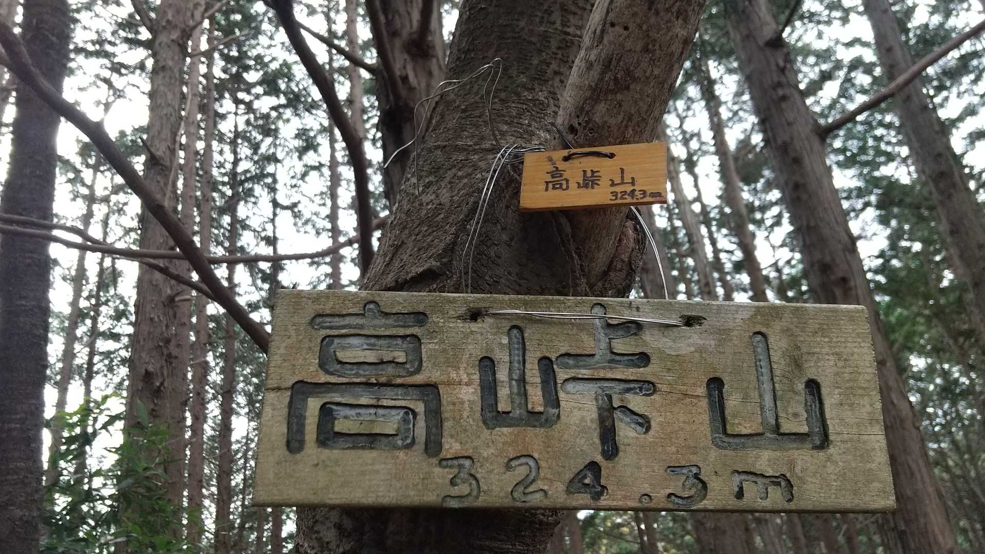 高峠山は山頂までしっかり踏み跡がありました🎵
先に延びるピンクテープもありましたけど、昼ごはんを食べたいので同じルートで戻ります😅