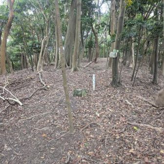 シタキ場山 左向かいの山から射撃場の発砲音が響いてくるので、少々苦手です