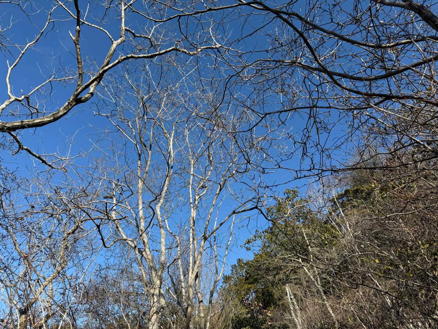 丹生神社-丹生山-帝釈山-朝日山-北山 周回コースの写真